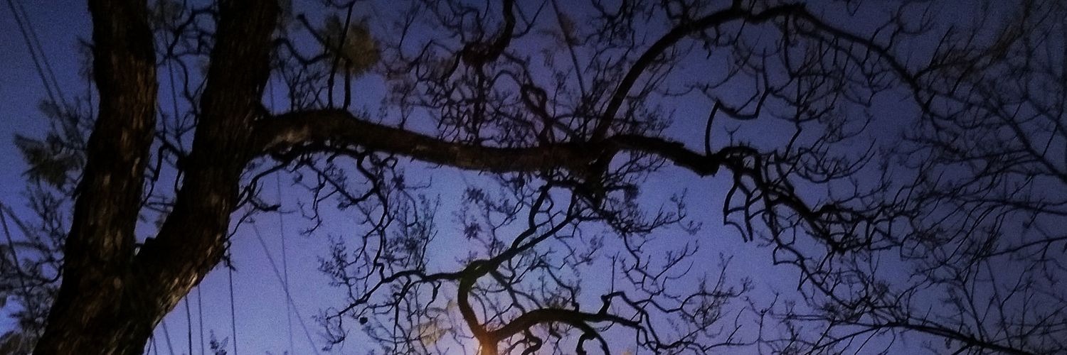 neto9811's profile banner image