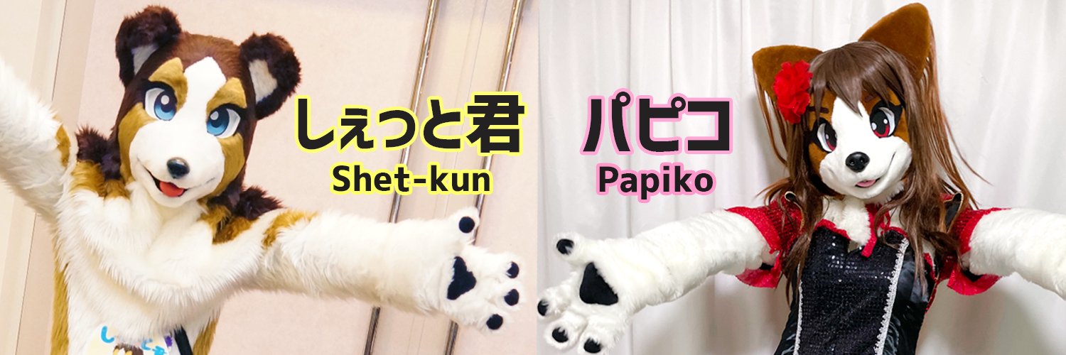 しぇっと君とパピコ banner