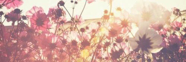 NatashaMiller98's profile banner image