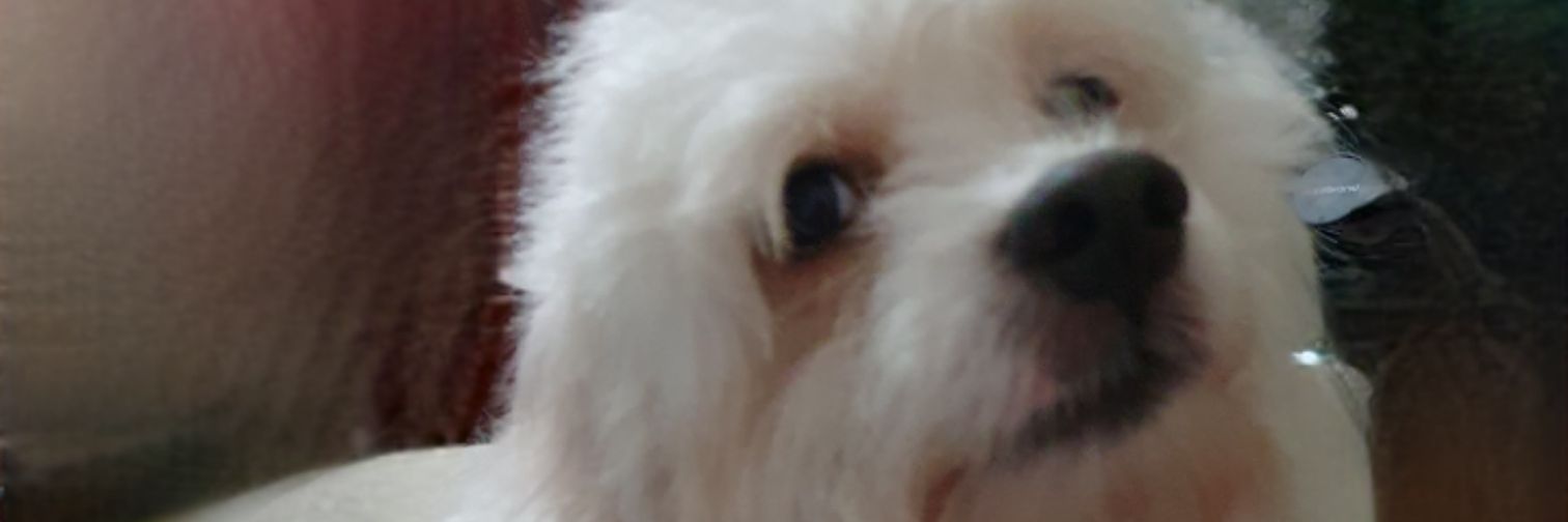 mmerida65's profile banner image