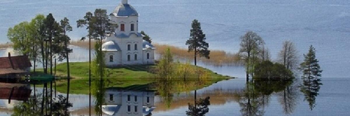 medich4141's profile banner image