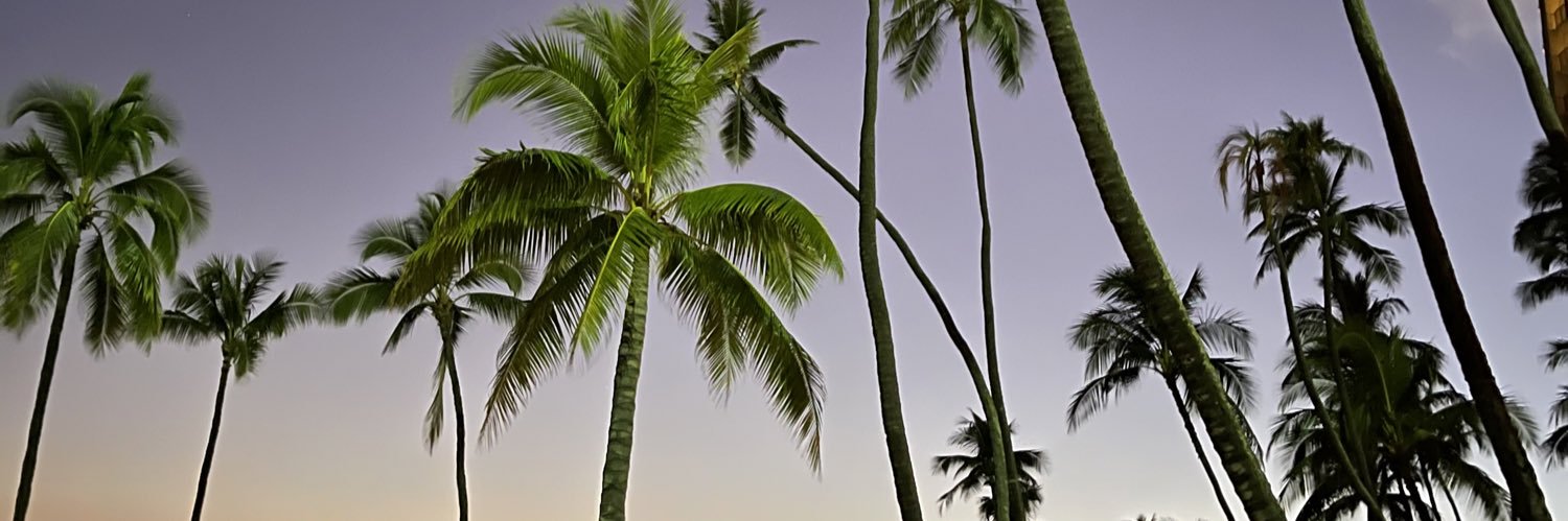 BrendaRoche's profile banner image