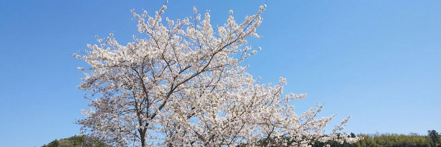 080112233o's profile banner image