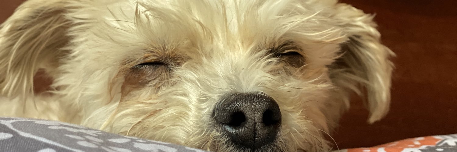 _avishh's profile banner image