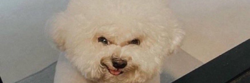 Tuffdude13's profile banner image