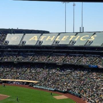 Shane Tomayer banner