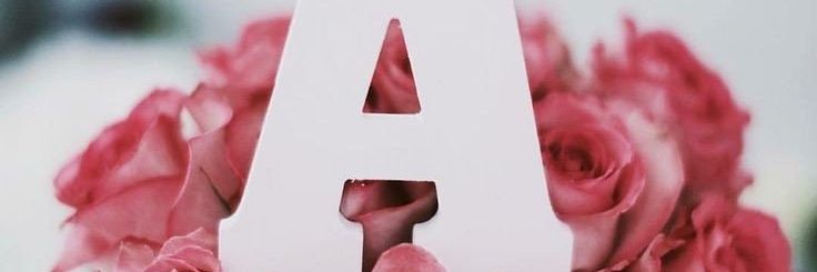 ابوسلطان 💚ملك النخبه🏆♔💚 banner