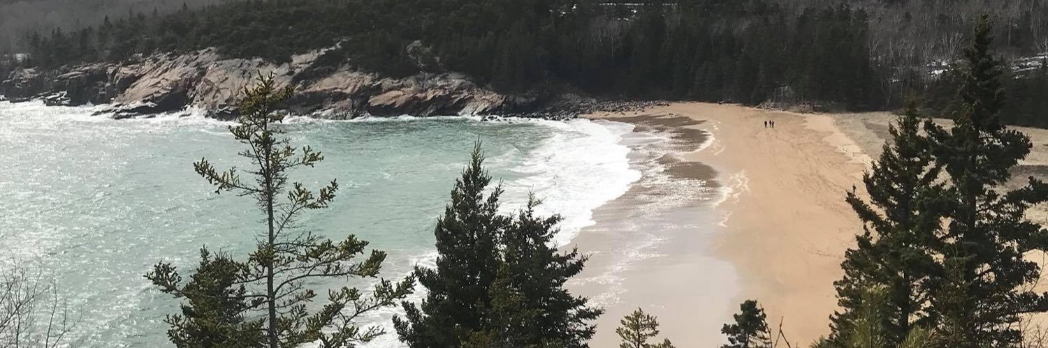 marbearflair's profile banner image