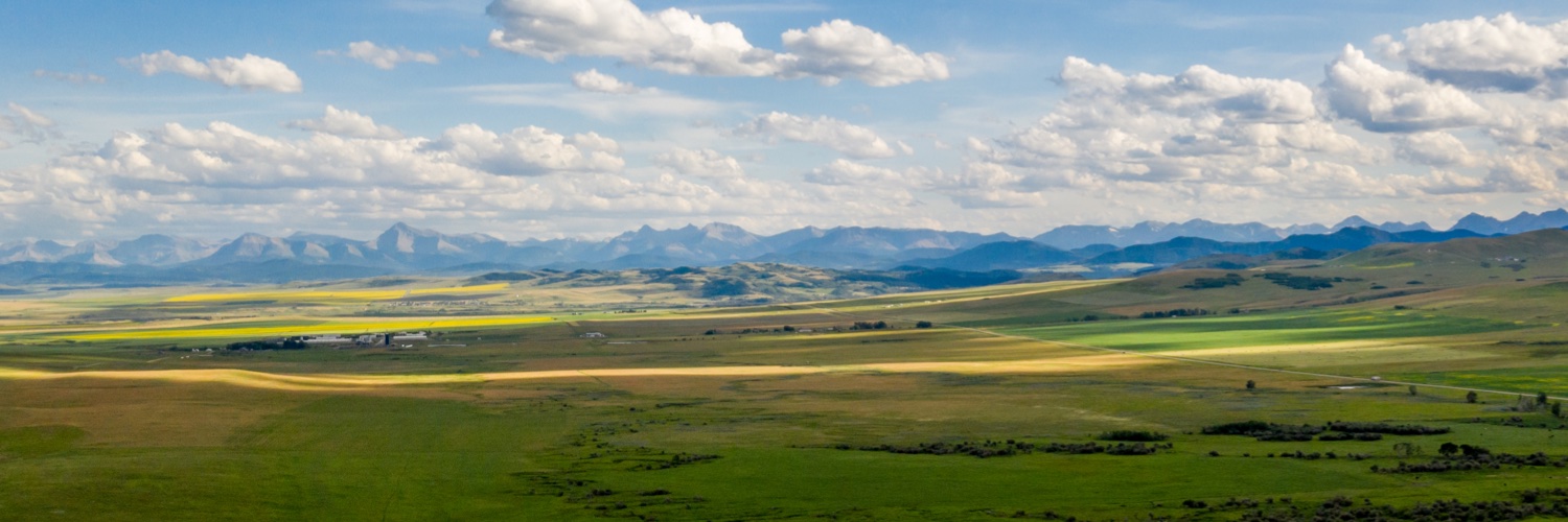 Eric González banner