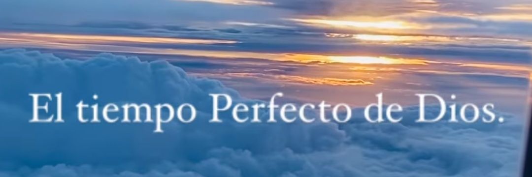 ceci_celis's profile banner image