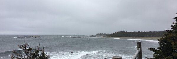 maybecolin Profile Banner