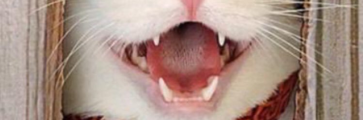 HARDLUCK1369's profile banner image