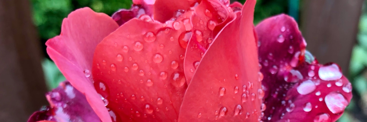 SamathaYoga's profile banner image