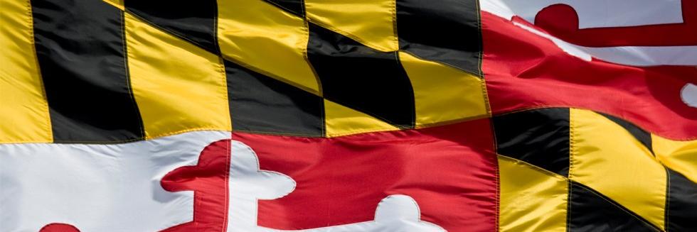 Kenneth Lowe banner