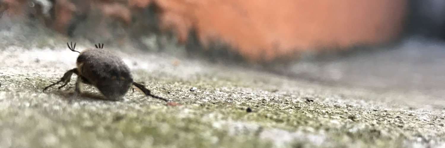User19637's profile banner image