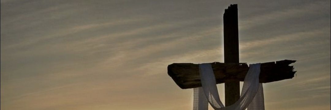 RenatoM01's profile banner image