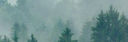 SyfaGracious's profile banner image