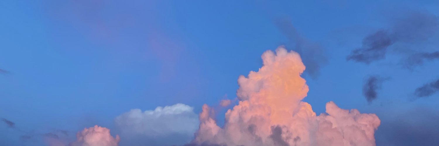 allisonmmb30's profile banner image