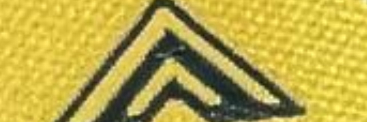 polilla_81's profile banner image