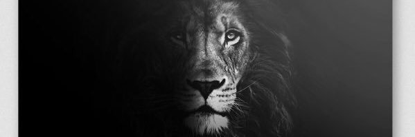 Abba_hamza's profile banner image