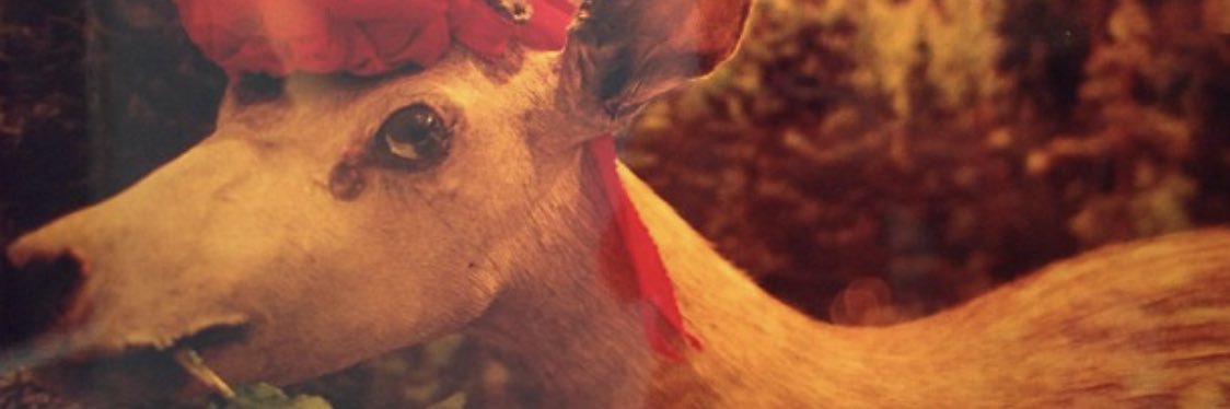 CHO_R_NAN's profile banner image
