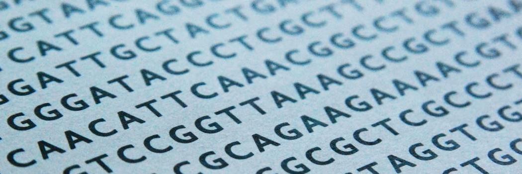 Kokul Wimalanathan banner