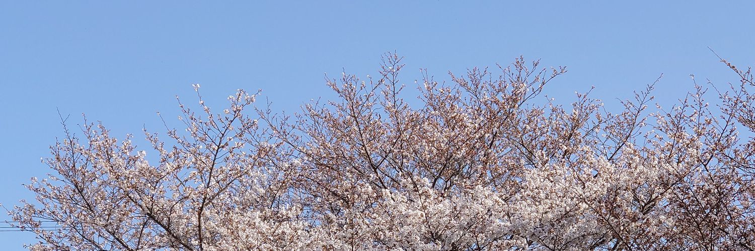 r_hamachan's profile banner image