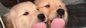 Fefffffffe's profile banner image