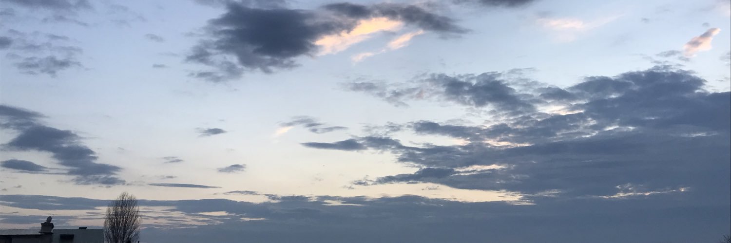 adanalimimar's profile banner image