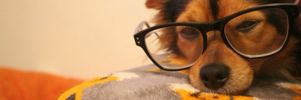 AdelePember Profile Banner