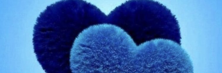 bulutkus's profile banner image