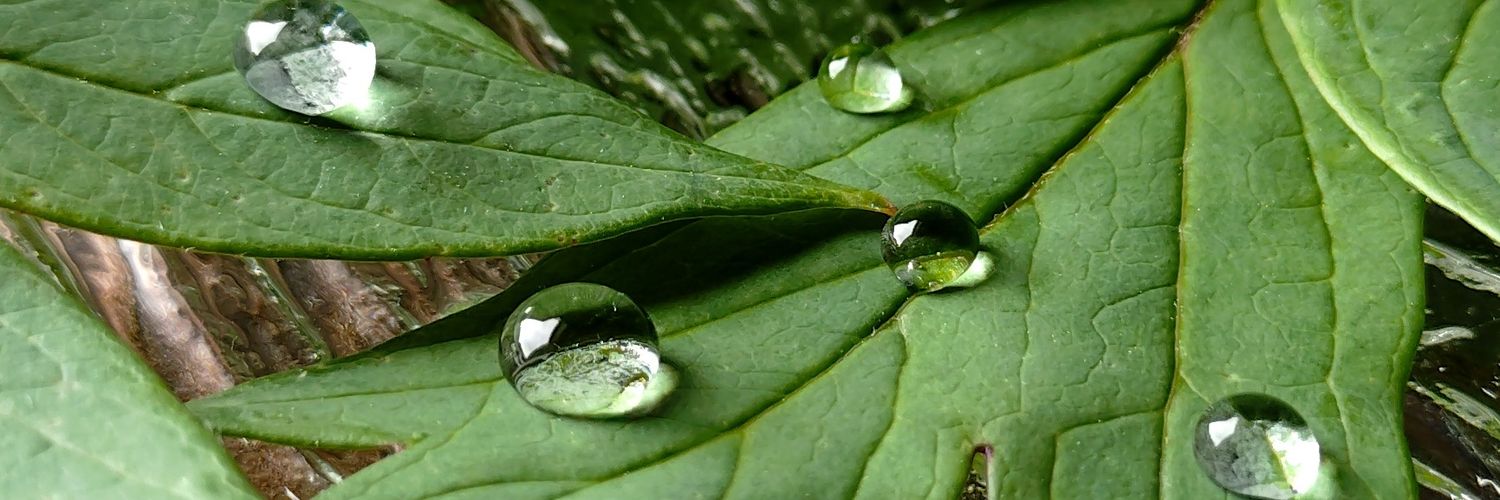 +B Laboratory/プラスビーラボラトリー banner