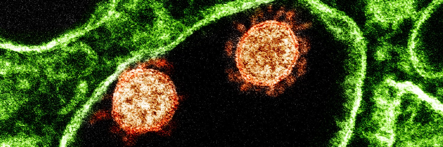 JVirology Editors's banner