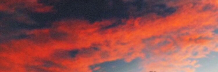 Emma_LWL's profile banner image