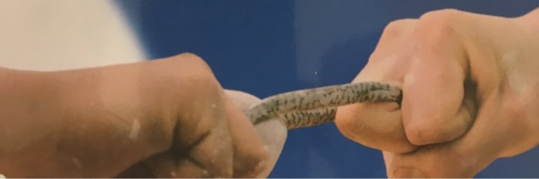 Peter Mueller banner