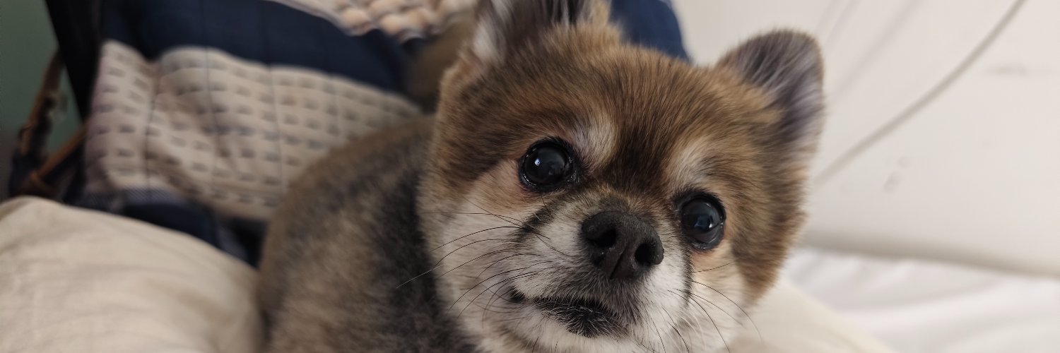 Photo_Genesis87 banner