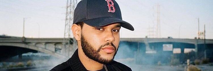 steffxo1's profile banner image
