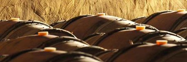 braucol46 Profile Banner