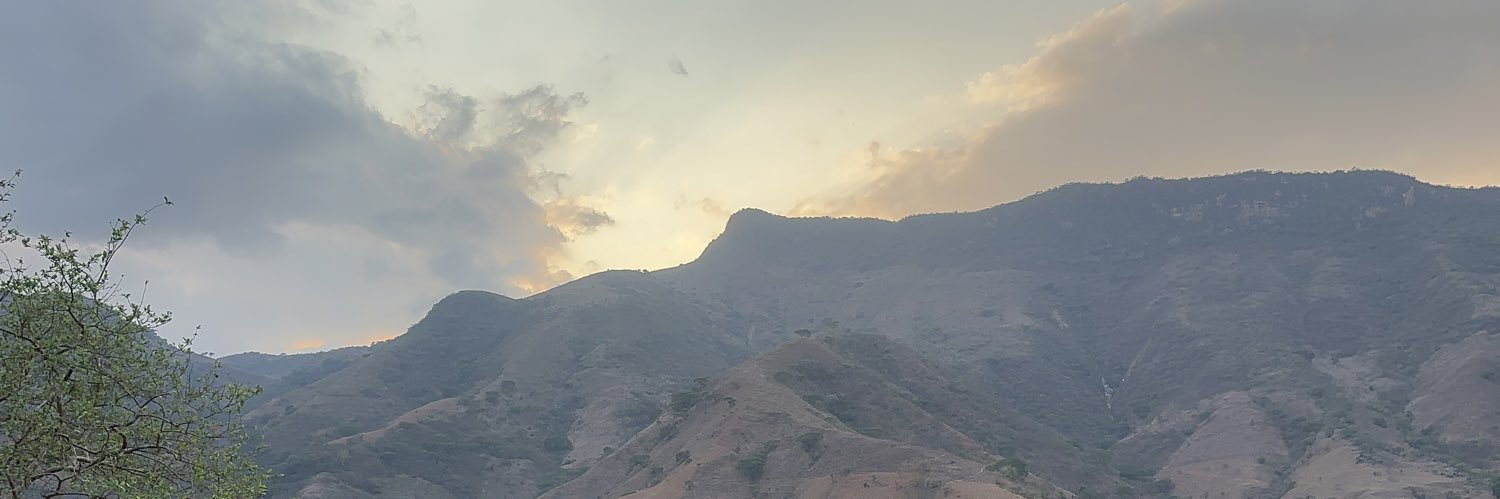 XGoDxDragon's profile banner image