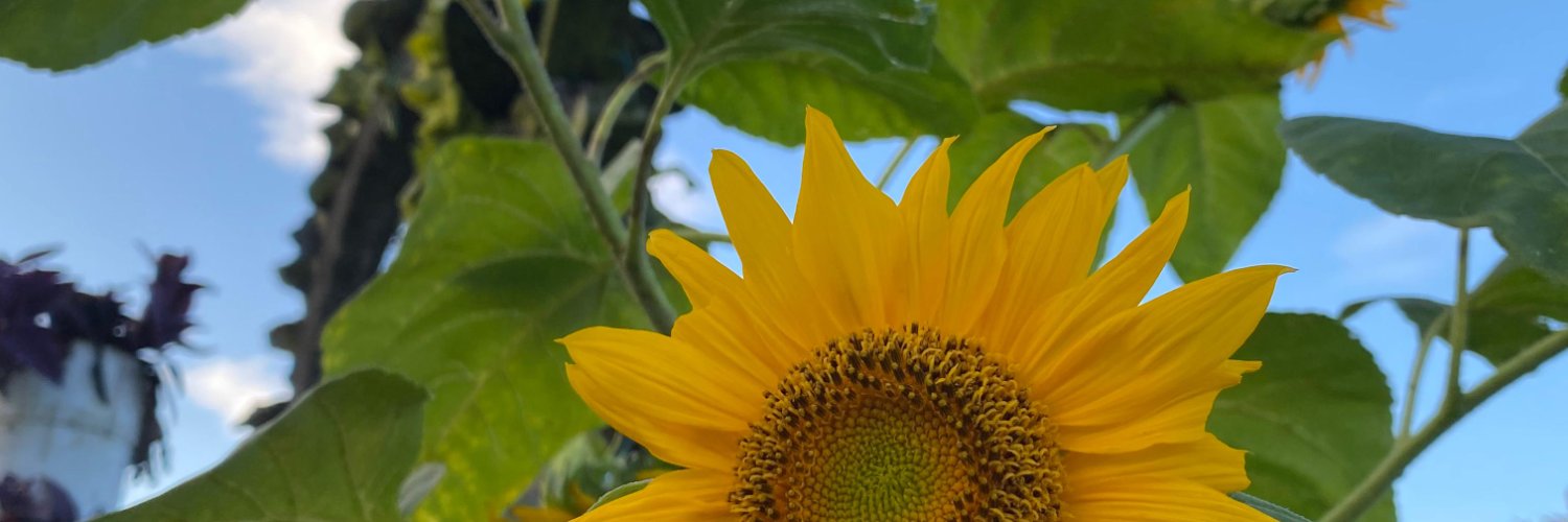 TheaYesika's profile banner image