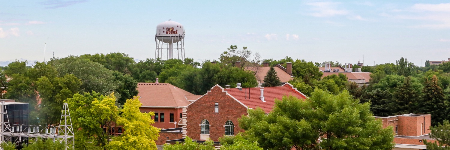 Northern State University banner