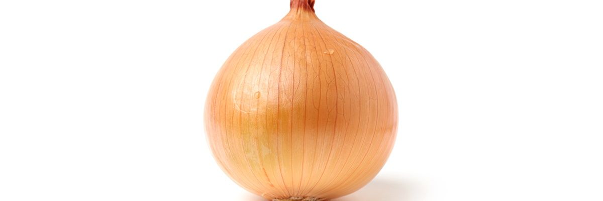 bnestonga's profile banner image