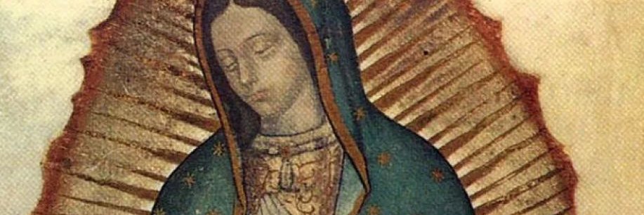 Mariusz A. Roman 🇵🇱✝️ 💯 banner