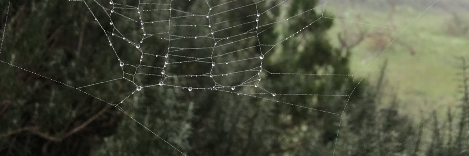 MarioHevo's profile banner image