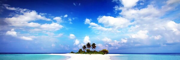 Aussiebird77 Profile Banner