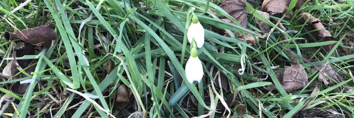 Siobhan Blake Monteith banner