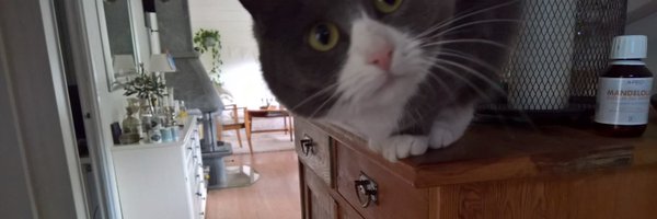 precision_mats Profile Banner