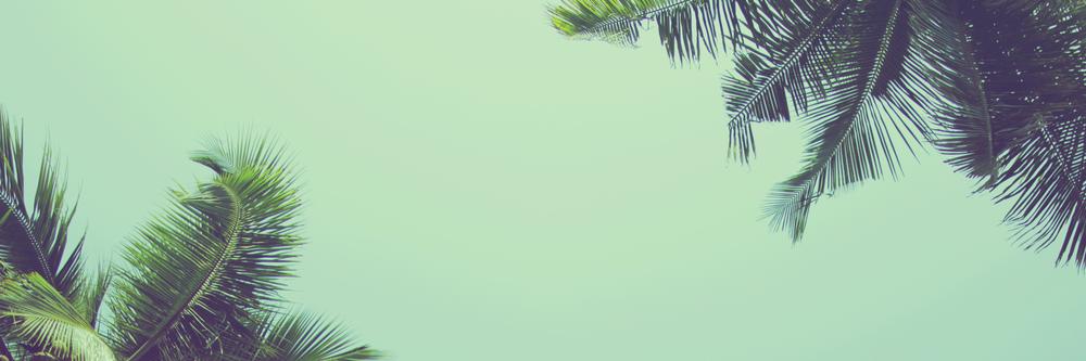 GautDubos's profile banner image
