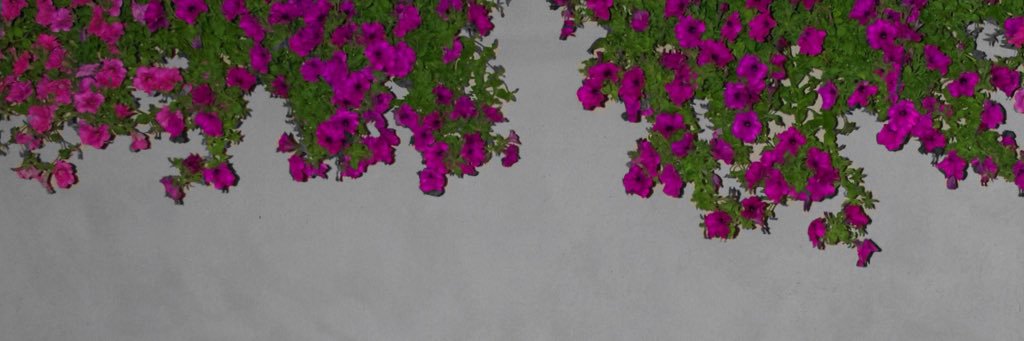 liferfb's profile banner image