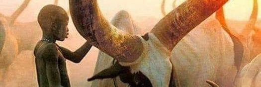 sirmbello1's profile banner image
